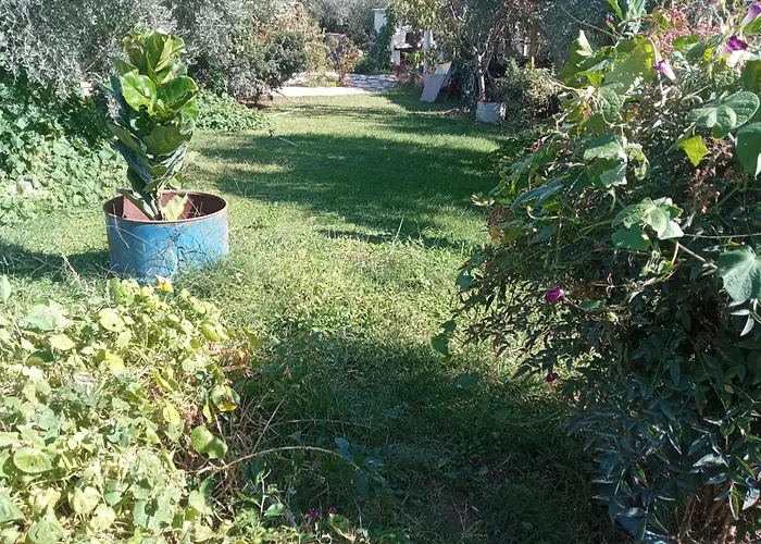 Bella-Caza