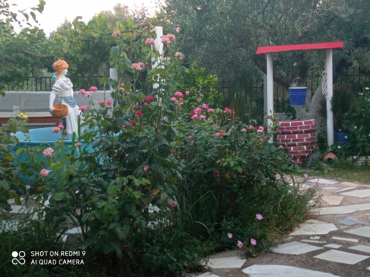 Apartment Bella-caza