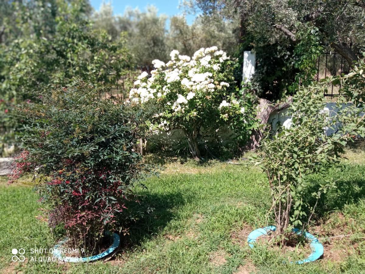 Bella-caza * Makri
